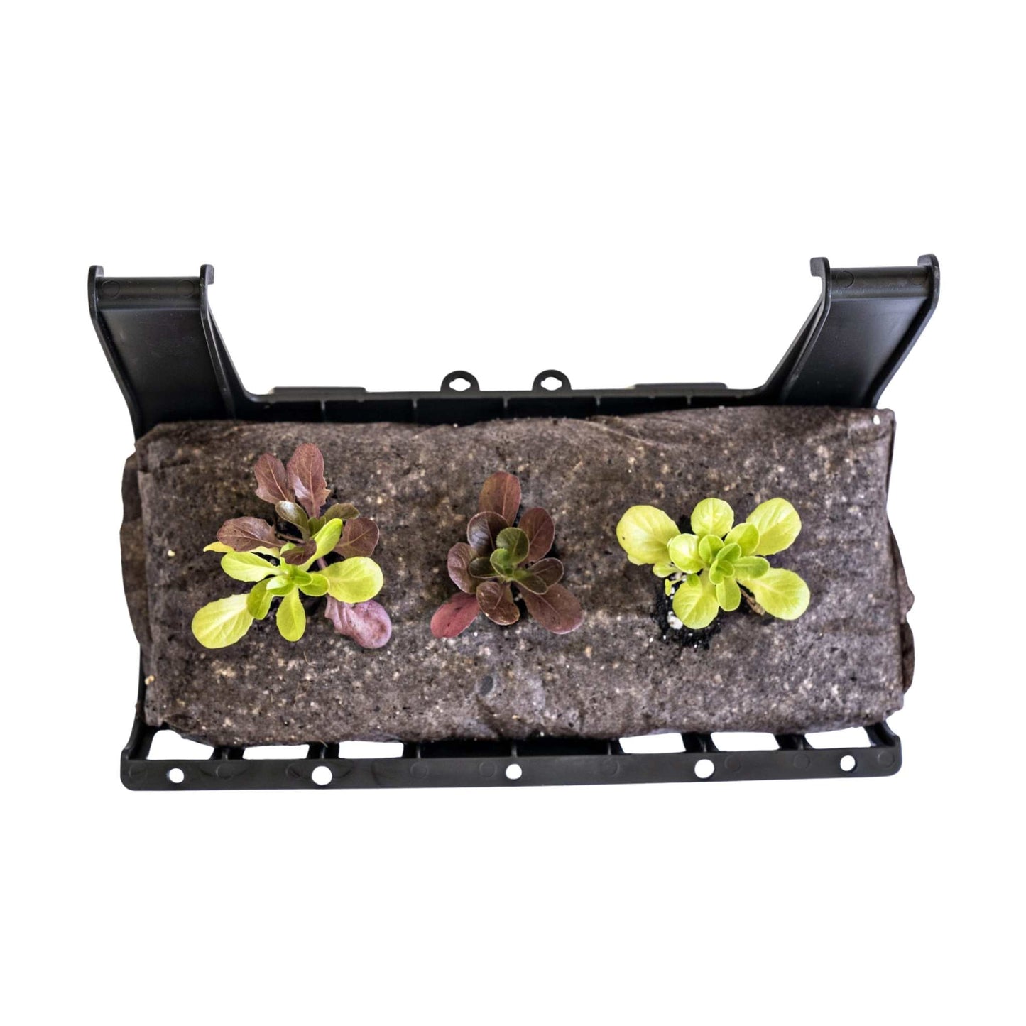 Varden™ Trays - Midwest Grow LLC