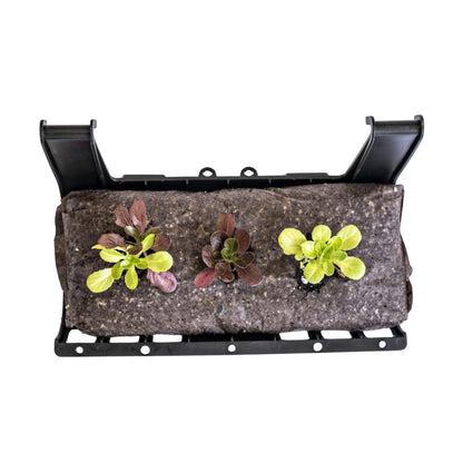 Varden™ Trays - Midwest Grow LLC