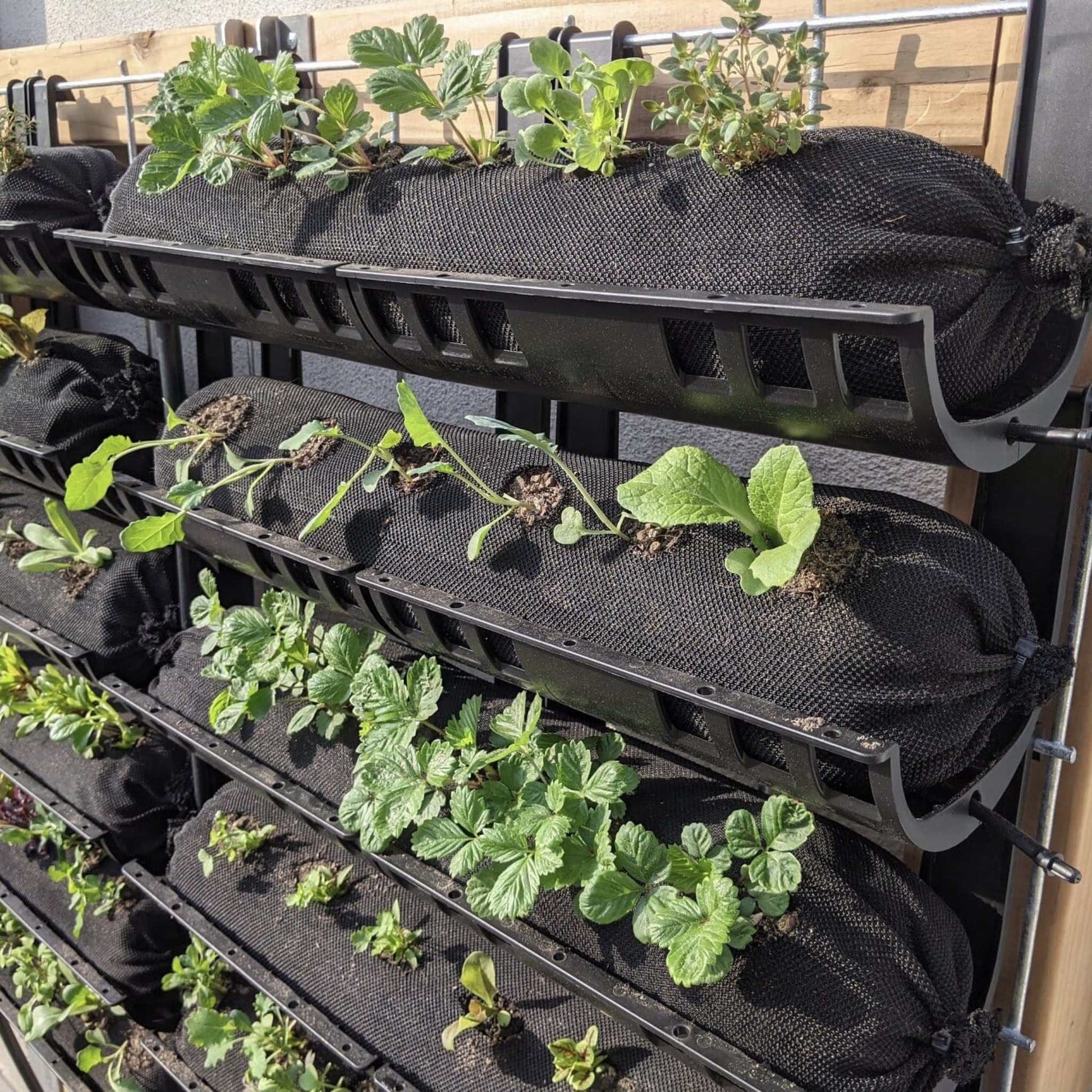 Varden™ Trays - Midwest Grow LLC