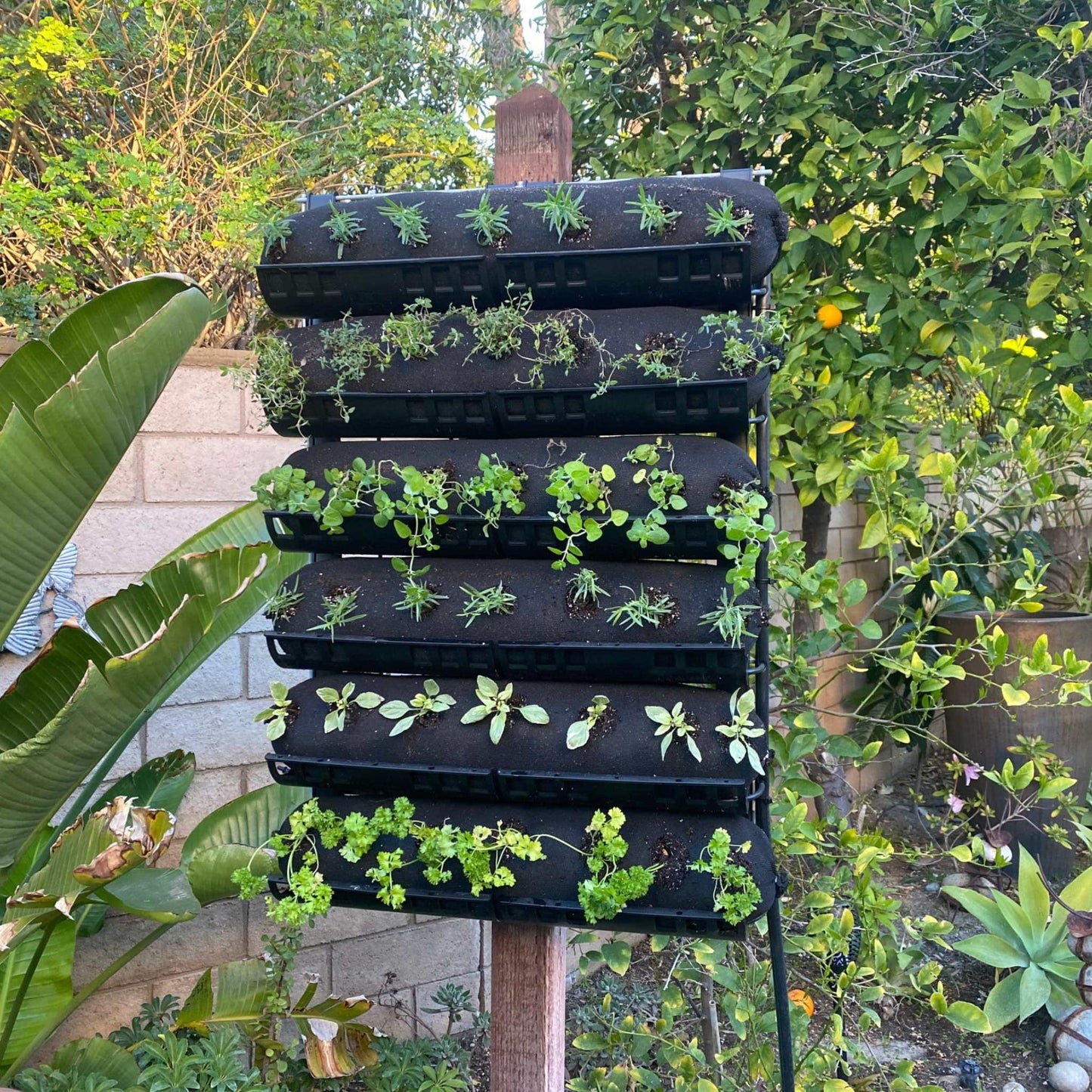 Varden™ Trays - Midwest Grow LLC