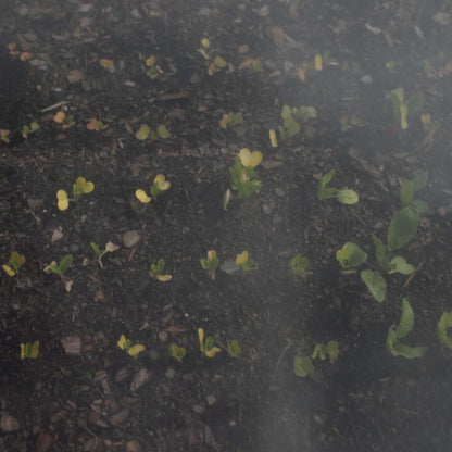 Heavy-Duty Insect Netting - Midwest Grow LLC