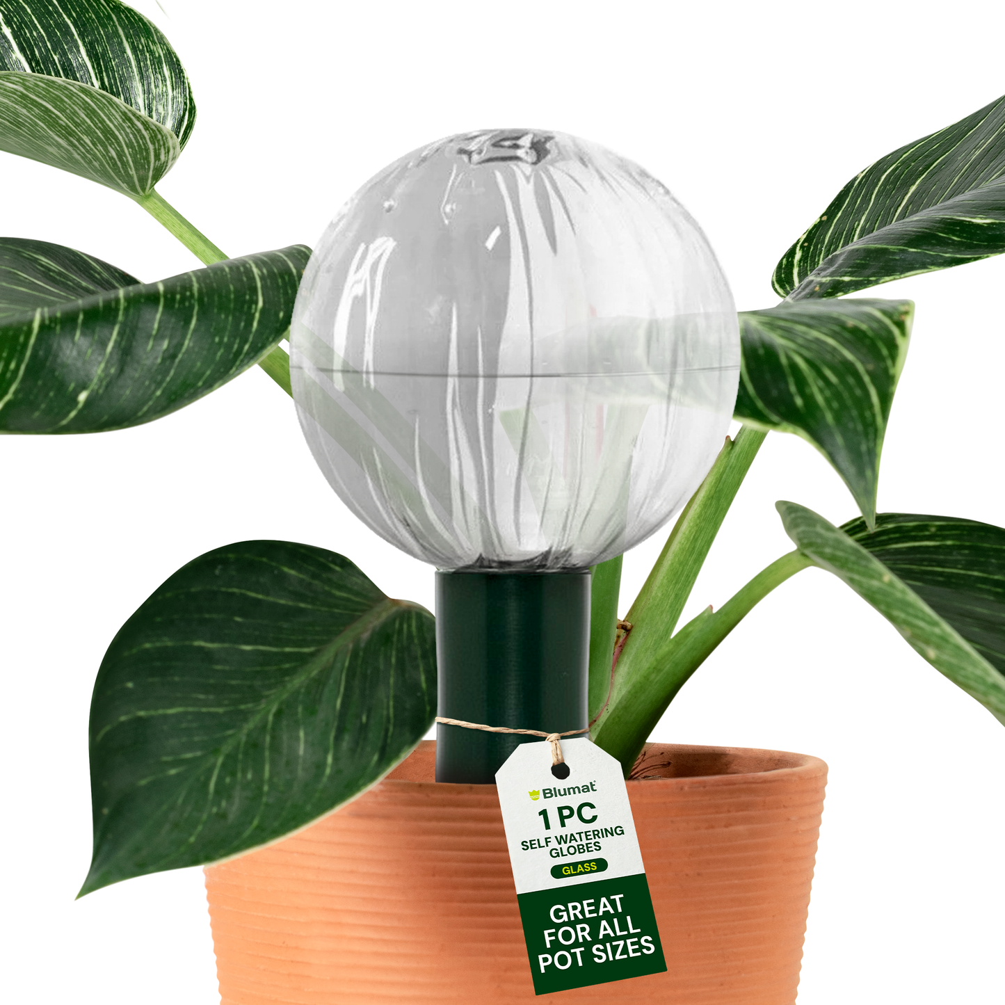 Blumat Glass Plant Self Watering Globes - Midwest Grow LLC
