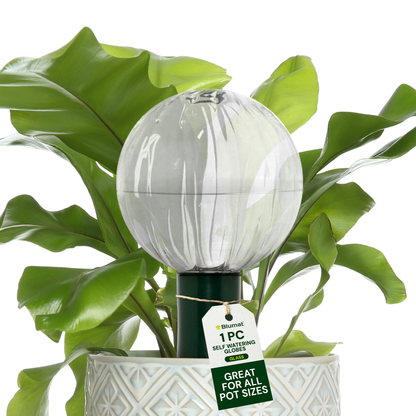Blumat Glass Plant Self Watering Globes - Midwest Grow LLC