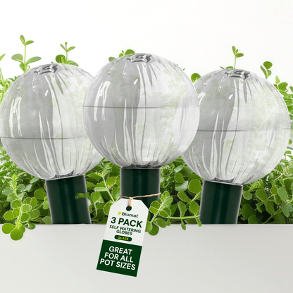 Blumat Glass Plant Self Watering Globes - Midwest Grow LLC