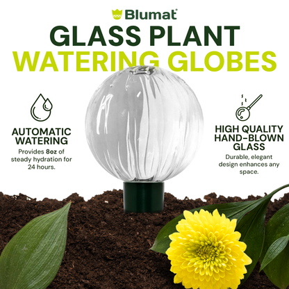 Blumat Glass Plant Self Watering Globes - Midwest Grow LLC