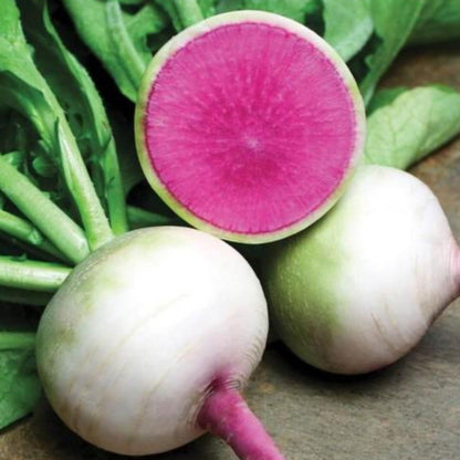 Watermelon (Winter) Radish Seeds
