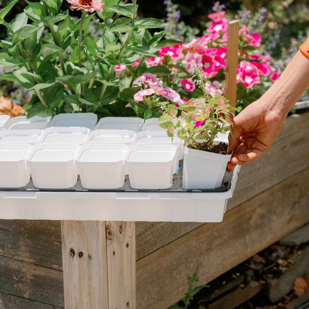 3.3" Heavy Duty Seed Starting Pots with Inserts - Midwest Grow LLC