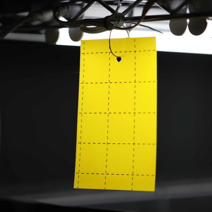 Pest Control Sticky Trap Cards - Midwest Grow LLC