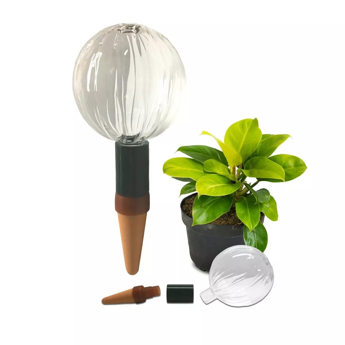 Blumat Glass Plant Self Watering Globes - Midwest Grow LLC