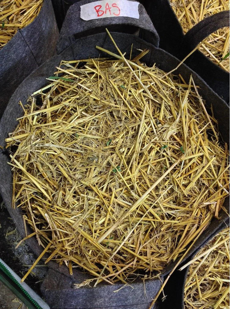 Certified Organic Straw Mulch - Midwest Grow LLC