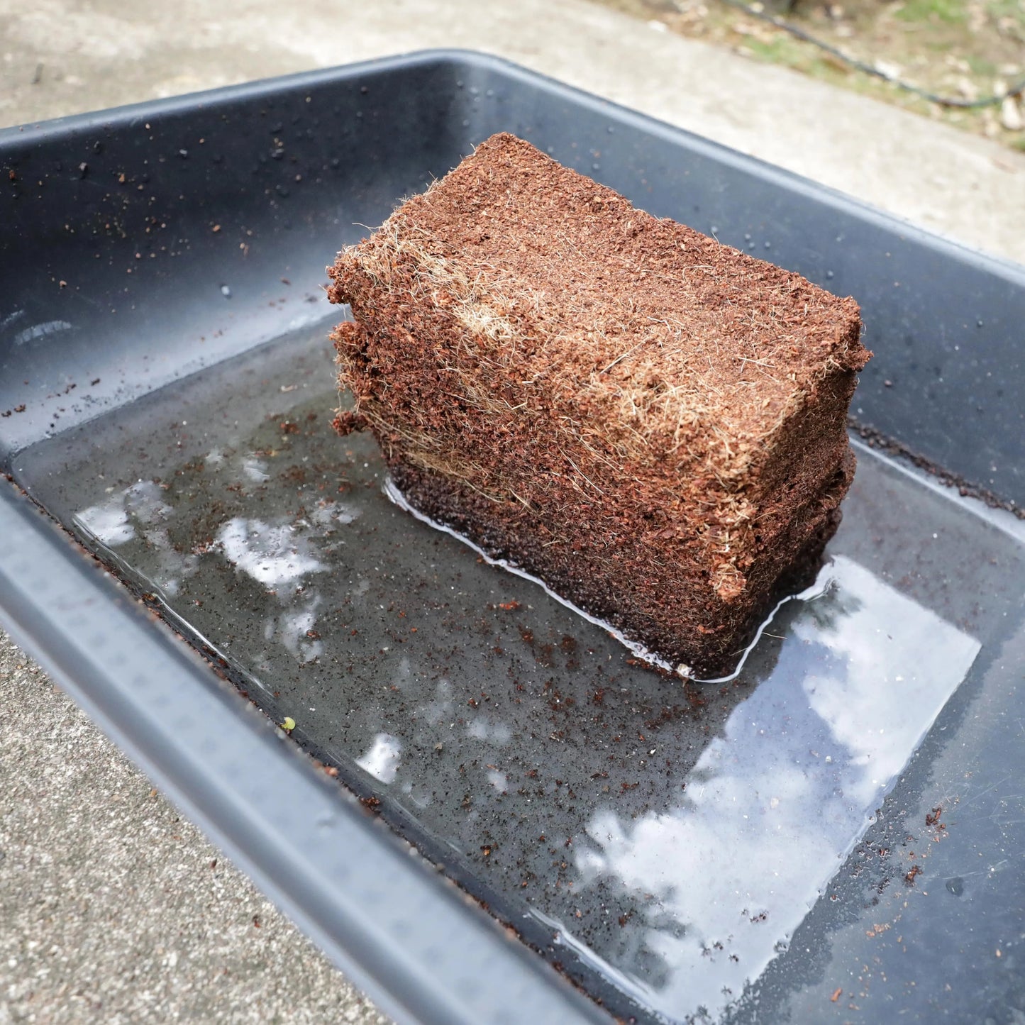 Coco Coir Brick - Midwest Grow LLC