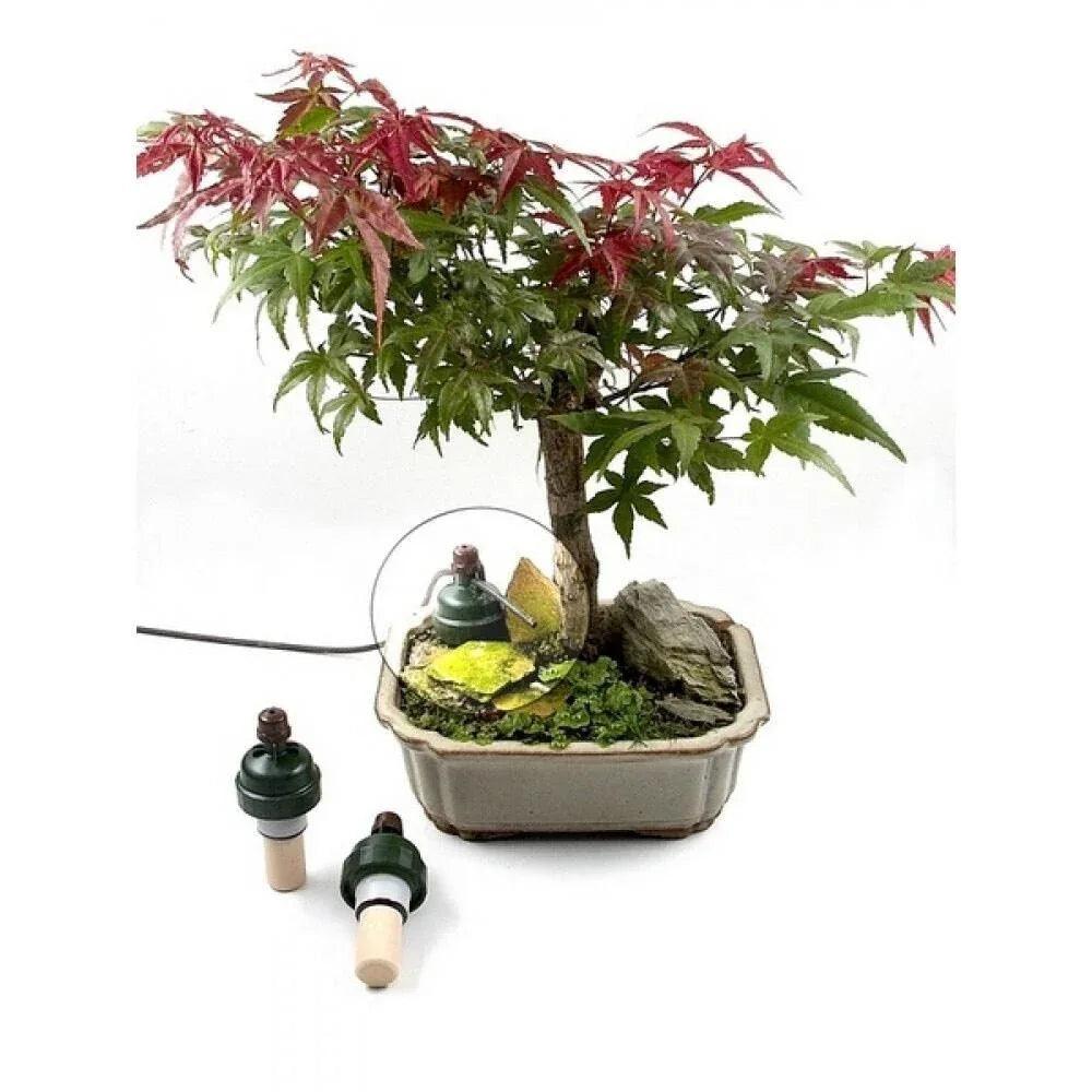 Blumat Bonsai Automatic Plant Watering Sensor - Midwest Grow LLC