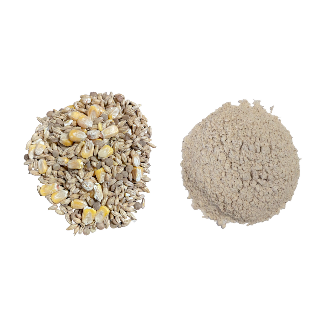 Clackamas Coots Official Gnarly Barley - Artisan Sprouted Seed Blend - Midwest Grow LLC