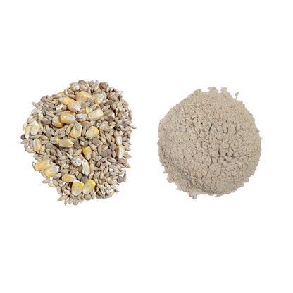 Clackamas Coots Official Gnarly Barley - Artisan Sprouted Seed Blend - Midwest Grow LLC