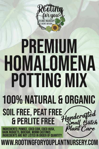 Homalomena Premium Potting Mix