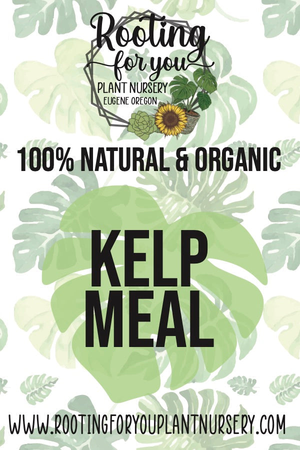 Kelp Meal Soil Amendment