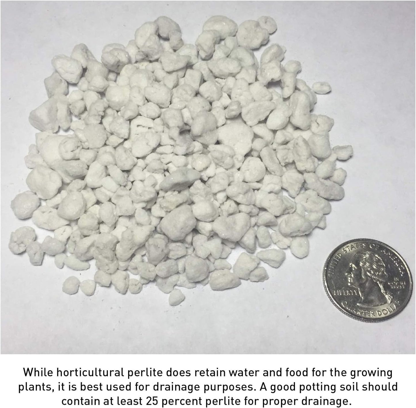 PVP Industries 4 Cubic Foot of Organic Perlite