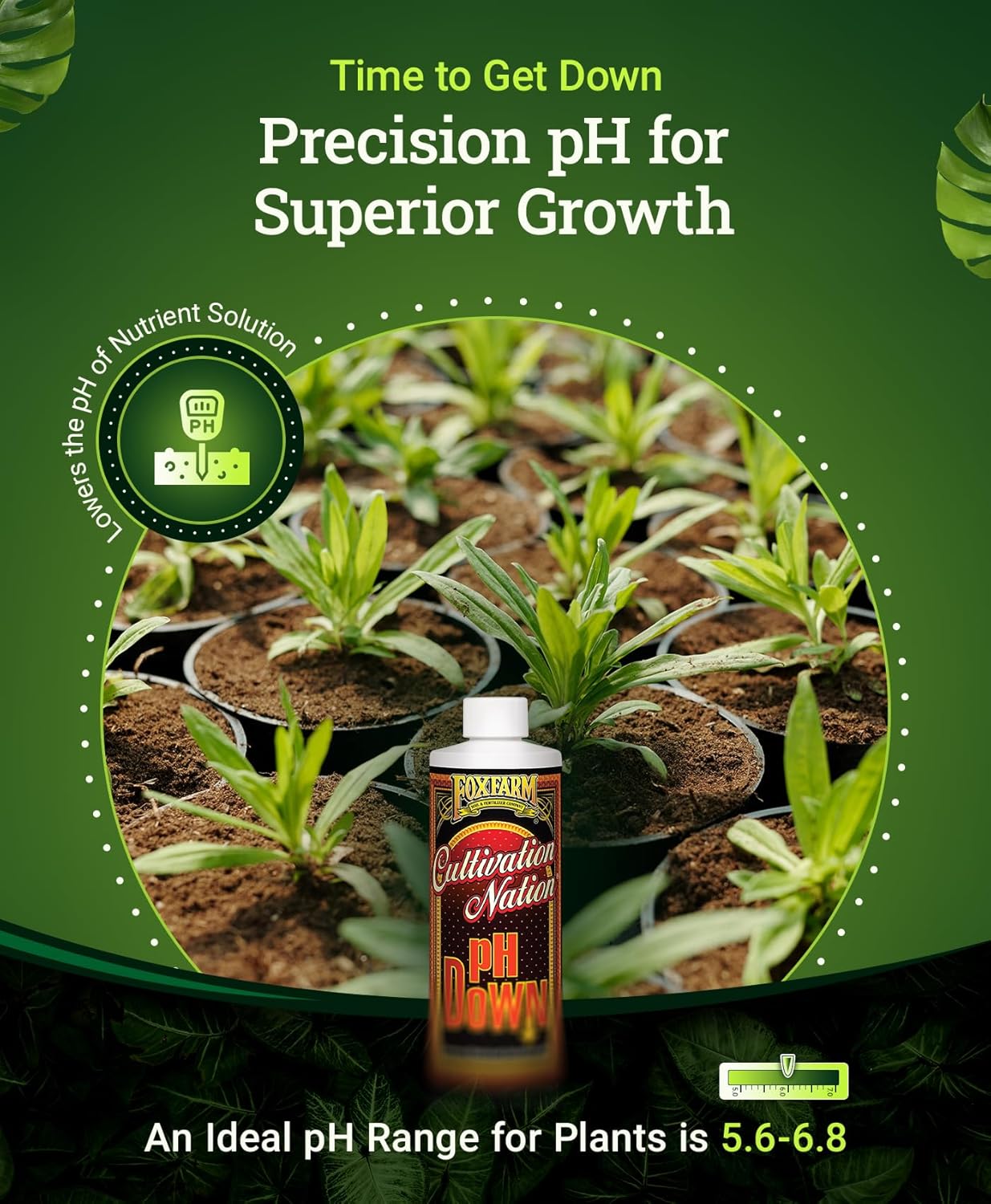 FoxFarm Cultivation Nation® pH DOWN, 1 pint