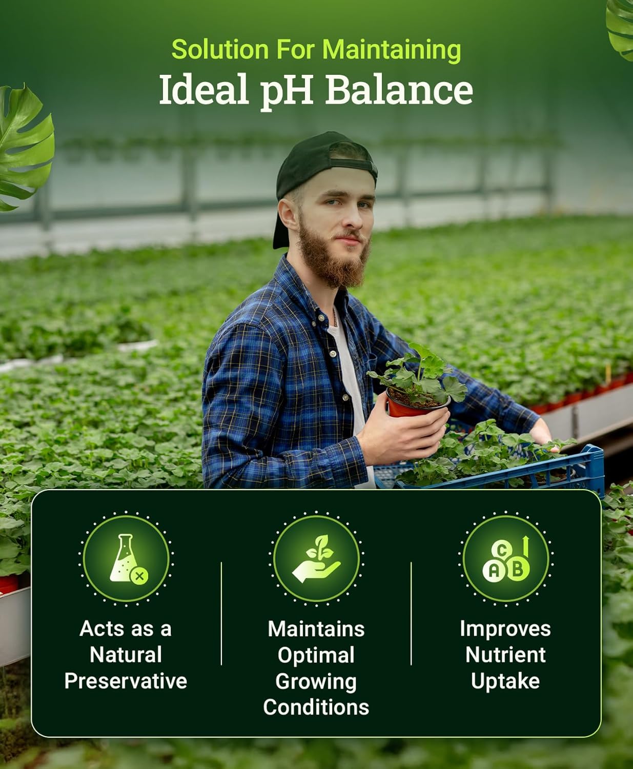 FoxFarm Cultivation Nation® pH DOWN, 1 pint