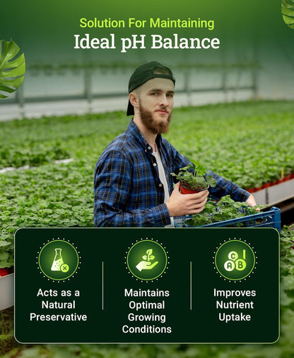 FoxFarm Cultivation Nation® pH DOWN, 1 pint