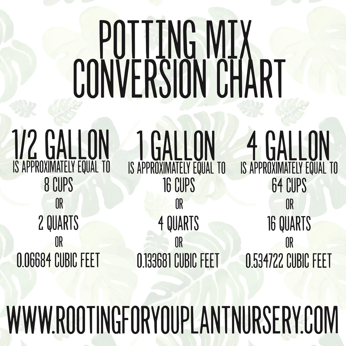 Alocasia - Colocasia - Caladium Premium Potting Mix