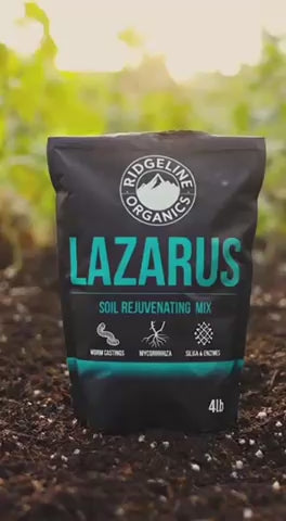 Ridgeline Organics Lazarus – Soil Rejuvenation & Conditioning Mix 4lb