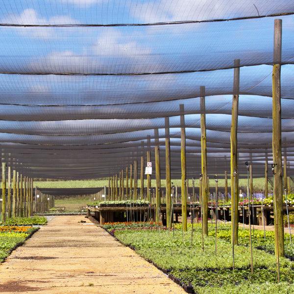 Sungrower Shade Cloth - 40' x 50'