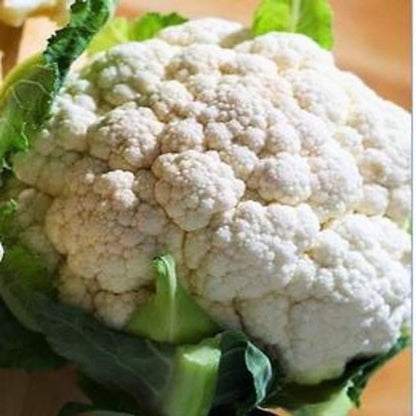 Snowball Self Blanching Cauliflower Seeds