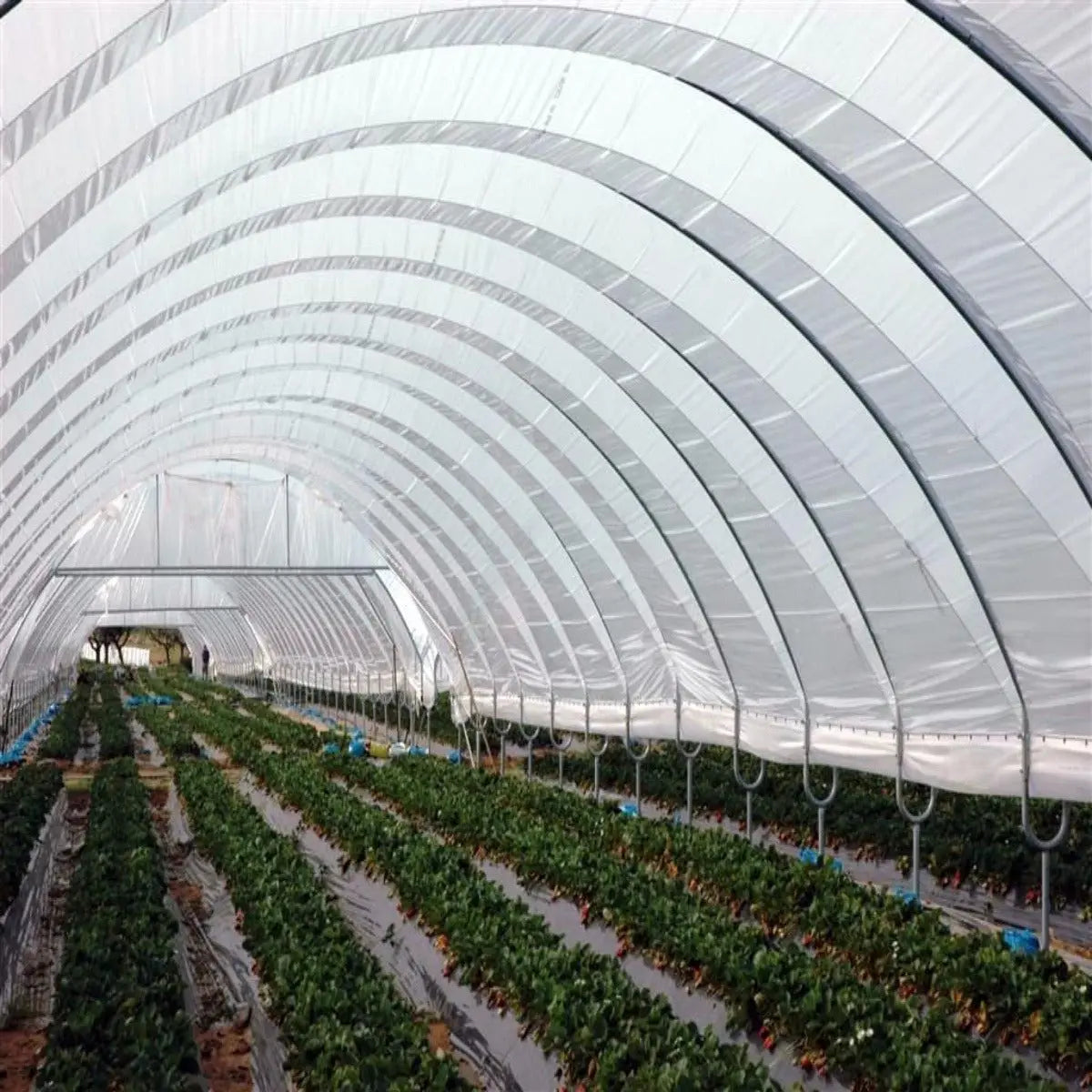 Greenhouse Woven Plastic 8 mil- Solarig 156 - Midwest Grow LLC