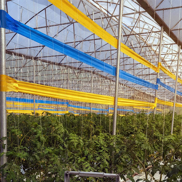 GROW1 Sticky Tape Roll Double-Sided Yellow (6in x 328ft) - Midwest Grow LLC