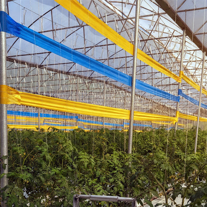 GROW1 Sticky Tape Roll Double-Sided Yellow (6in x 328ft) - Midwest Grow LLC