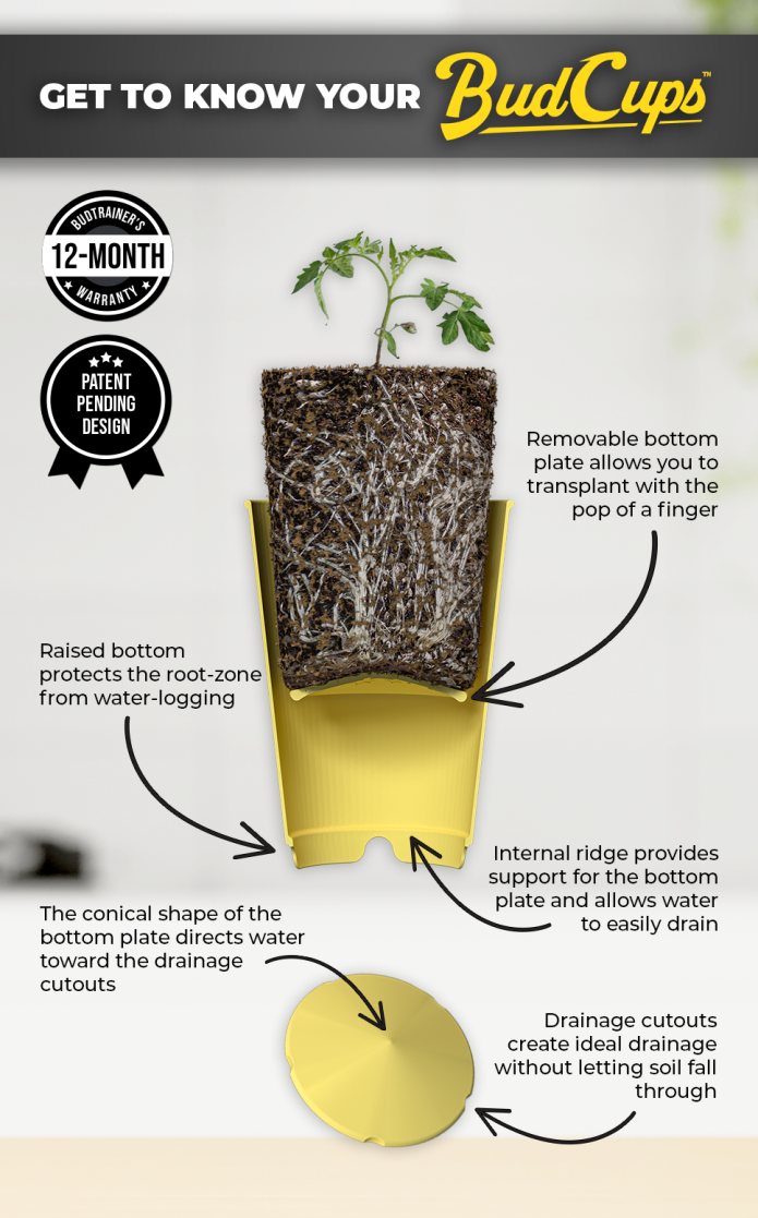 BudCups: Self-Draining - Midwest Grow LLC