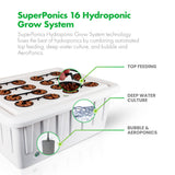 2’x4′ Hydroponic Grow Tent Kit