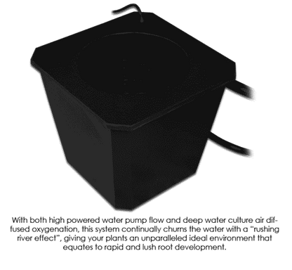 Bubble Flow Buckets Hydroponic Grow 8 Site System