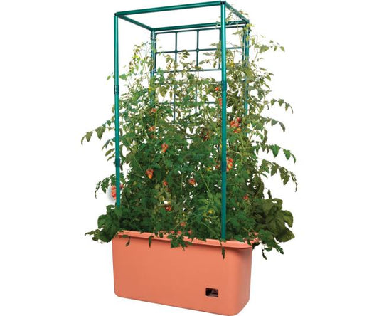 Tomato Trellis Garden on Wheels