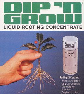 Dip 'n Grow