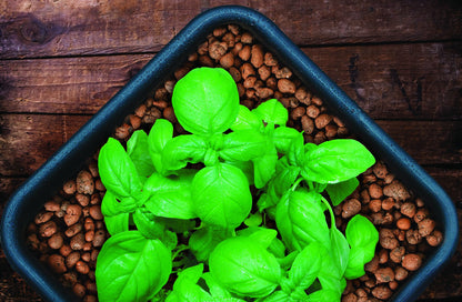 GROW!T Clay Pebbles