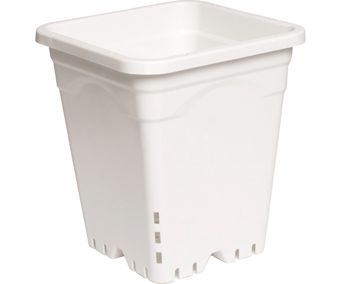 Active Aqua Square White Pot, 10" Tall