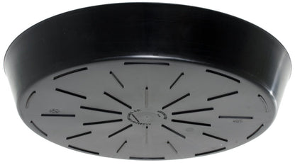 Super-Sized Black Saucers