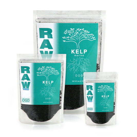 RAW Kelp