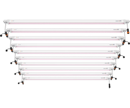 PHOTOBIO VP 32W 100-277V VE 2 Pack