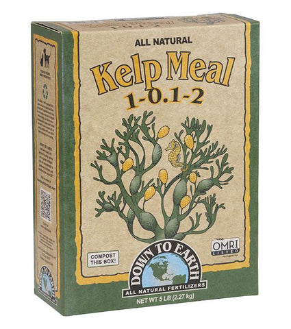 Down to Earth Kelp Meal 1-0.1-2 5lb-Nutrients & Additives-Midwest Grow Co