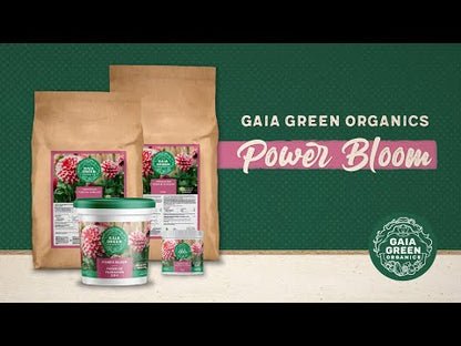 Gaia Green Power Bloom