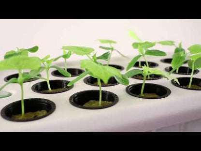 14-Site Hydroponic Cloner